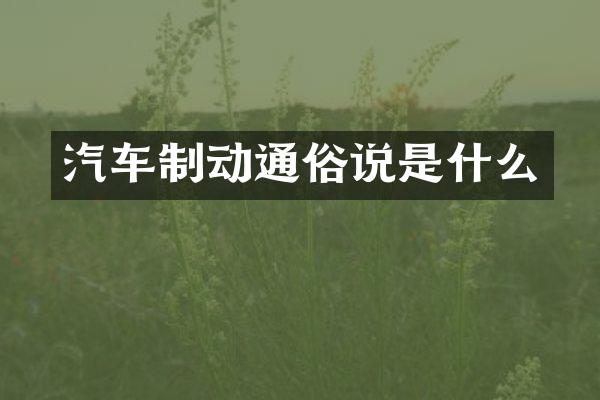 汽车制动通俗说是什么