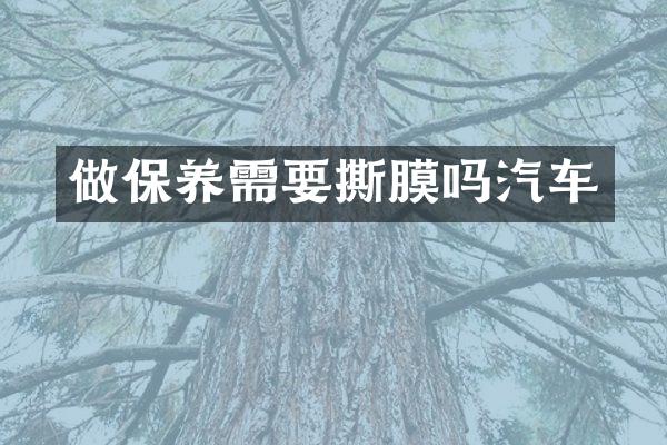 做保养需要撕膜吗汽车