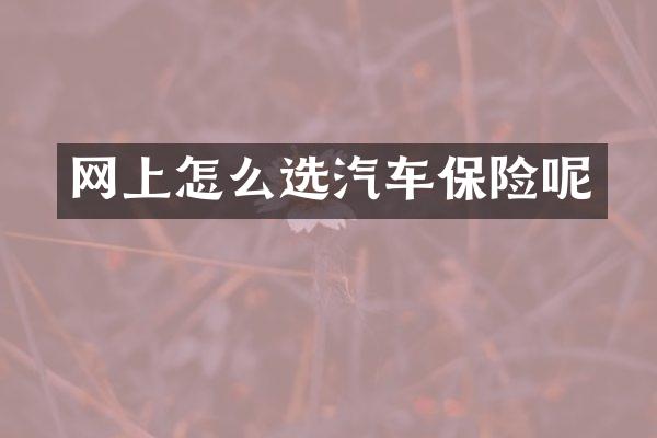 网上怎么选汽车保险呢