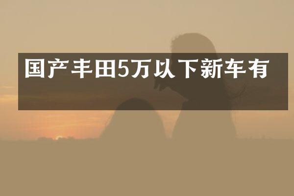 国产丰田5万以下新车有吗