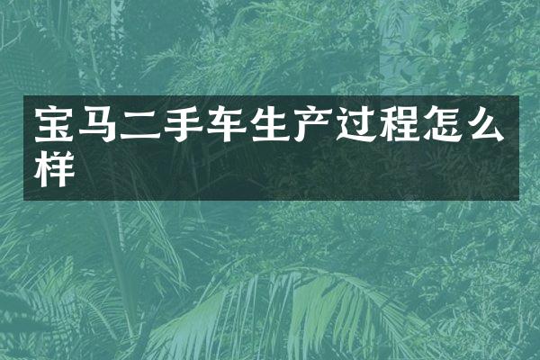 宝马二手车生产过程怎么样