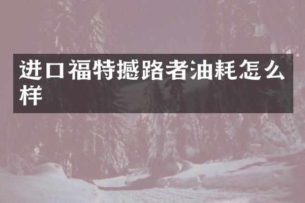 进口福特撼路者油耗怎么样