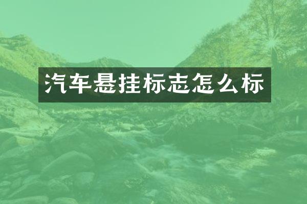 汽车悬挂标志怎么标