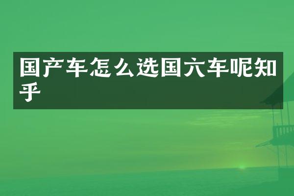 国产车怎么选国六车呢知乎