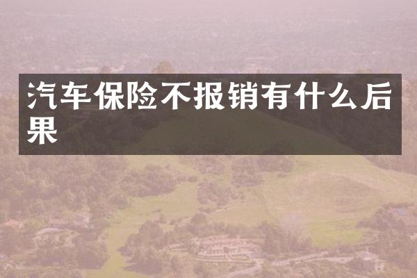 汽车保险不报销有什么后果