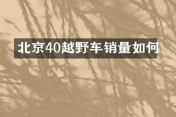 北京40越野车销量如何