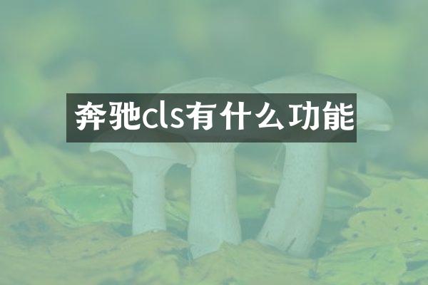 奔驰cls有什么功能