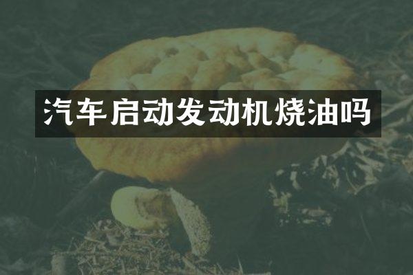 汽车启动发动机烧油吗