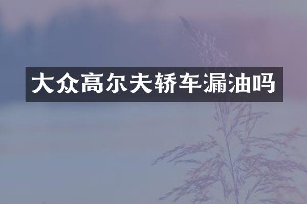 大众高尔夫轿车漏油吗