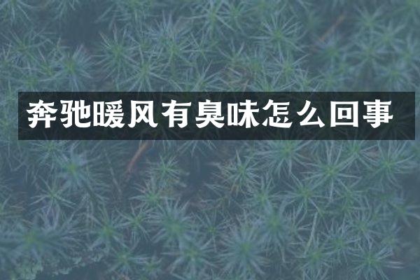 奔驰暖风有臭味怎么回事