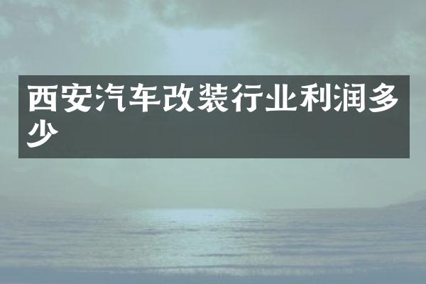 西安汽车改装行业利润多少