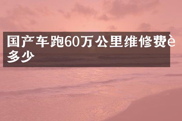 国产车跑60万公里维修费要多少