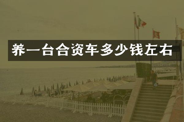 养一台合资车多少钱左右