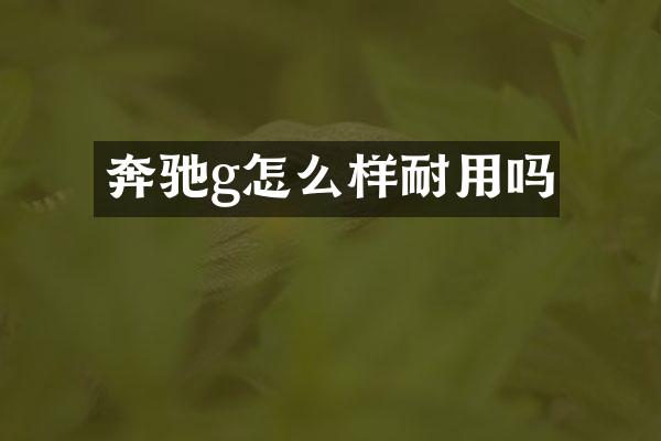 奔驰g怎么样耐用吗