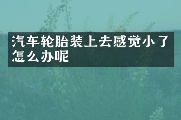 汽车轮胎装上去感觉小了怎么办呢