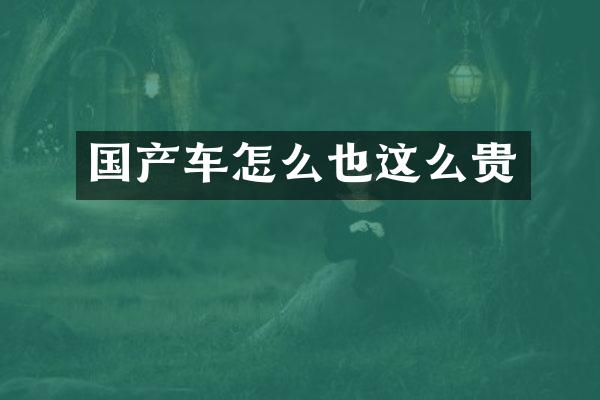 国产车怎么也这么贵