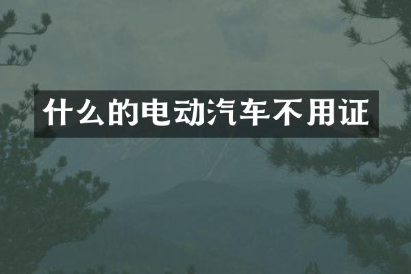 什么的电动汽车不用证