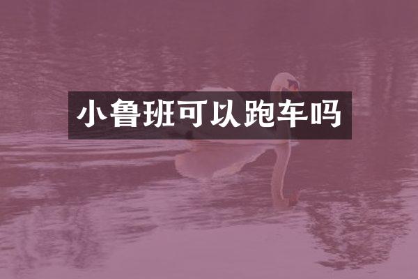小鲁班可以跑车吗