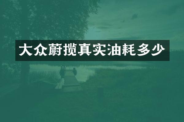大众蔚揽真实油耗多少