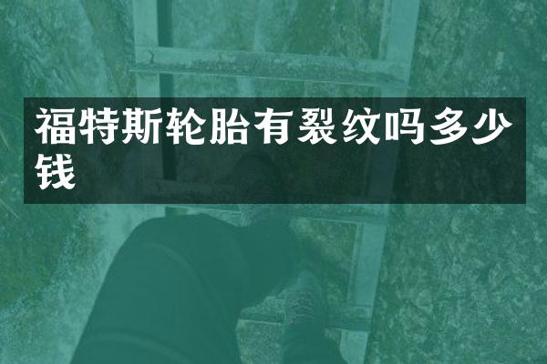 福特斯轮胎有裂纹吗多少钱