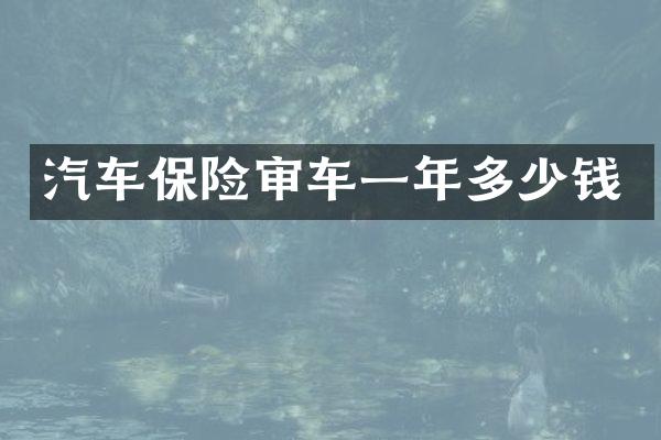 汽车保险审车一年多少钱