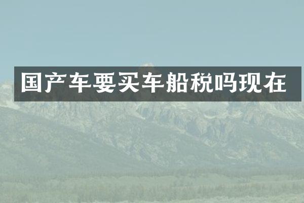 国产车要买车船税吗现在