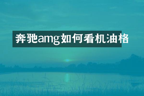奔驰amg如何看机油格