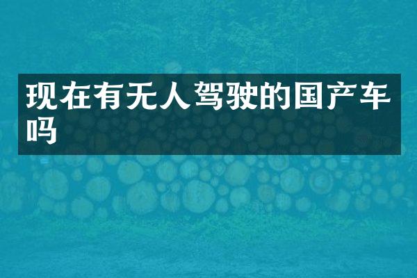 现在有无人驾驶的国产车吗