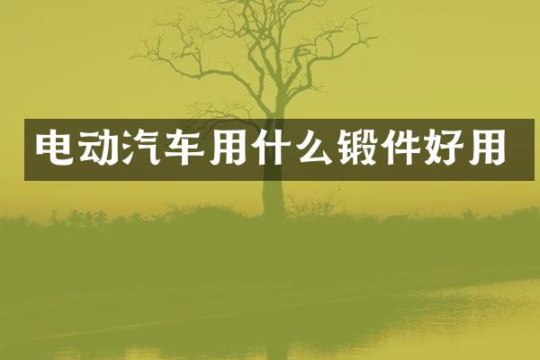 电动汽车用什么锻件好用