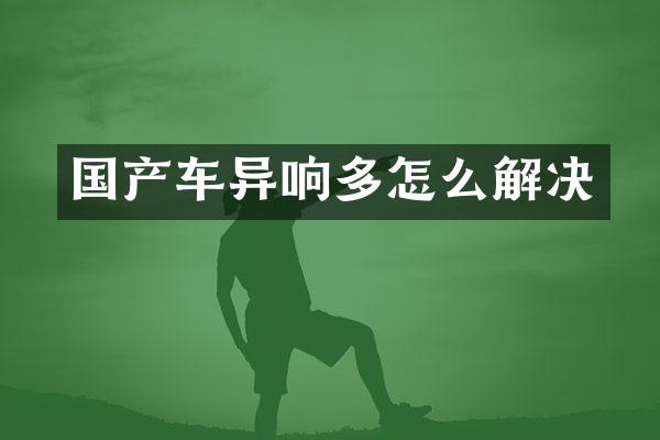 国产车异响多怎么解决