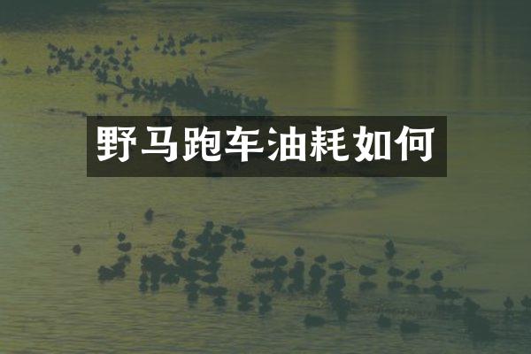 野马跑车油耗如何