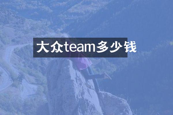 大众team多少钱