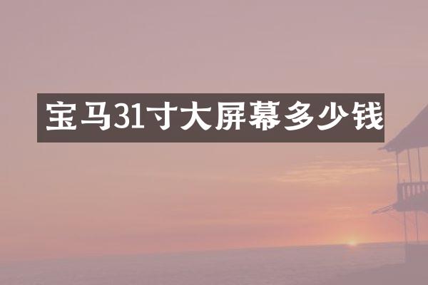 宝马31寸大屏幕多少钱