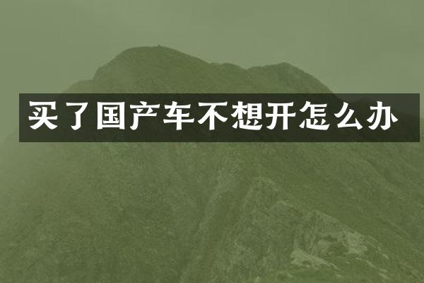 买了国产车不想开怎么办
