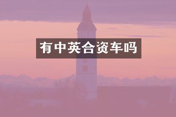 有中英合资车吗