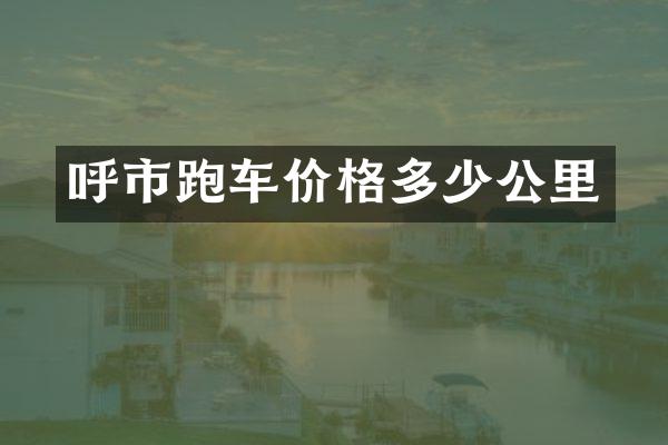 呼市跑车价格多少公里