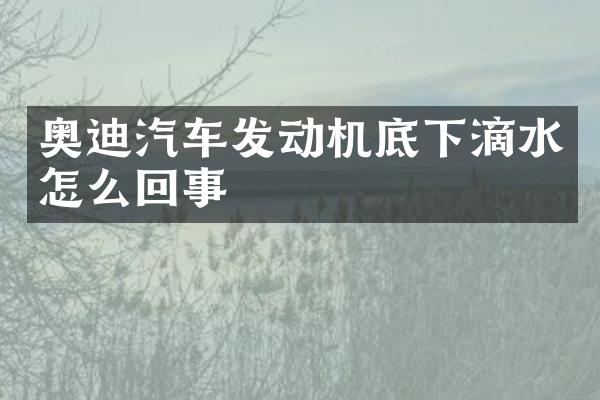奥迪汽车发动机底下滴水怎么回事