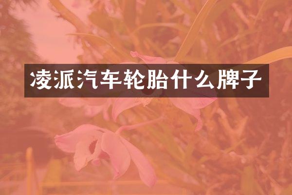 凌派汽车轮胎什么牌子