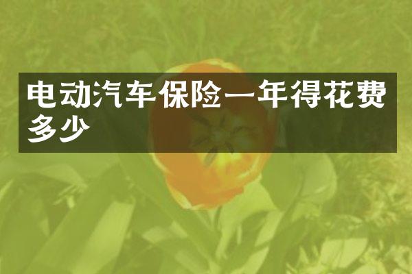 电动汽车保险一年得花费多少