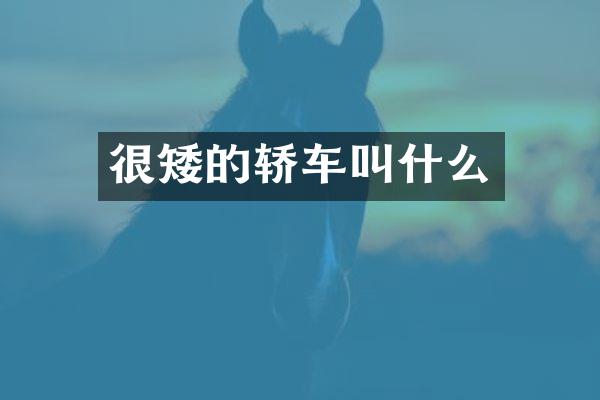 很矮的轿车叫什么