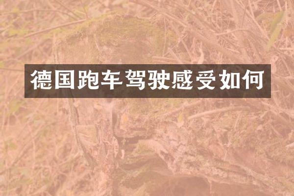 德国跑车驾驶感受如何