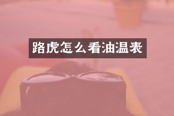 路虎怎么看油温表