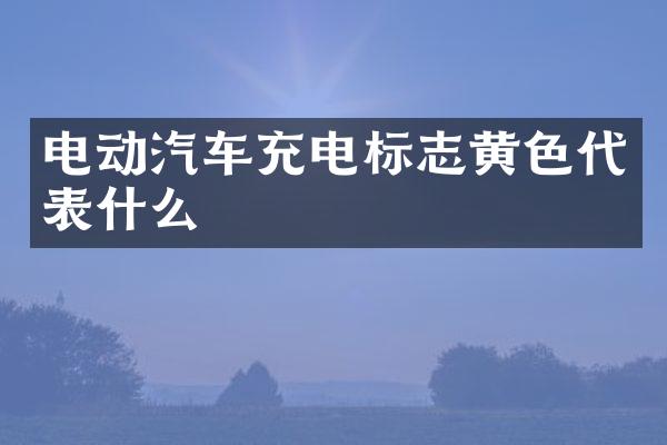 电动汽车充电标志黄色代表什么