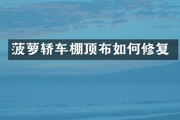 菠萝轿车棚顶布如何修复