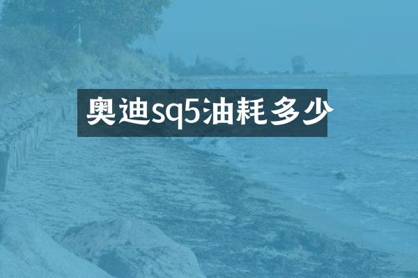 奥迪sq5油耗多少
