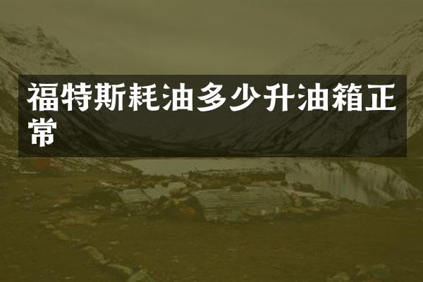福特斯耗油多少升油箱正常