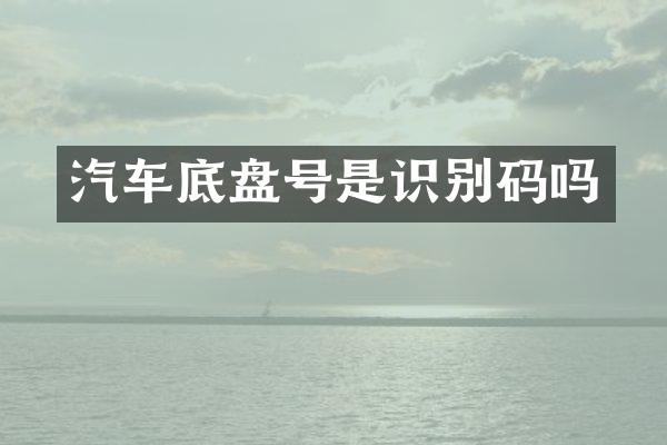 汽车底盘号是识别码吗