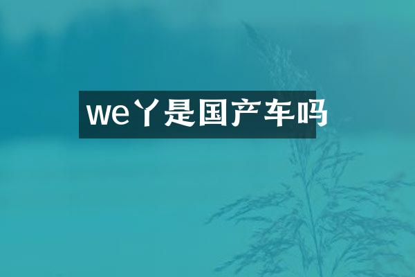 we丫是国产车吗
