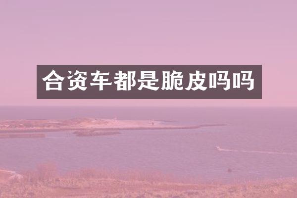 合资车都是脆皮吗吗