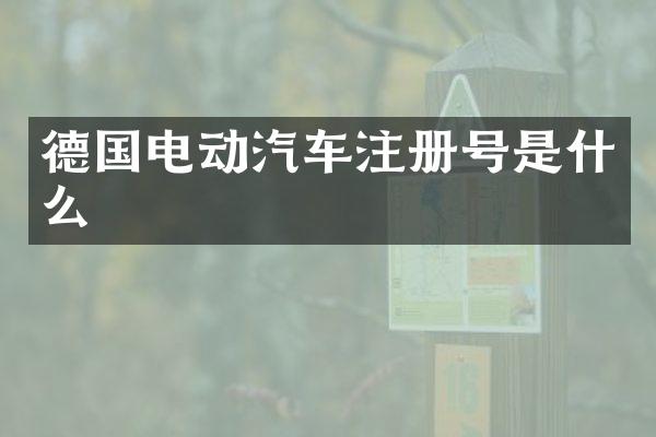 德国电动汽车注册号是什么